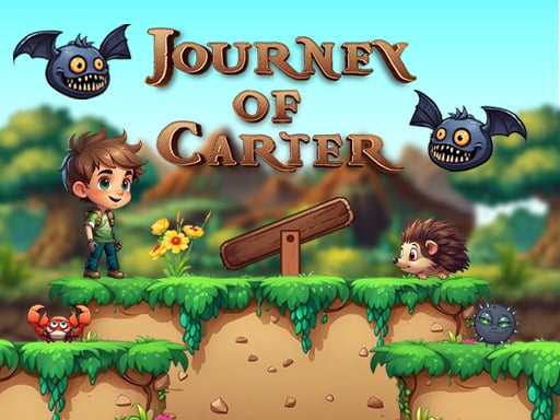 Journey Of Carter Details