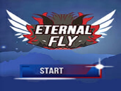 Eternal Fly Details